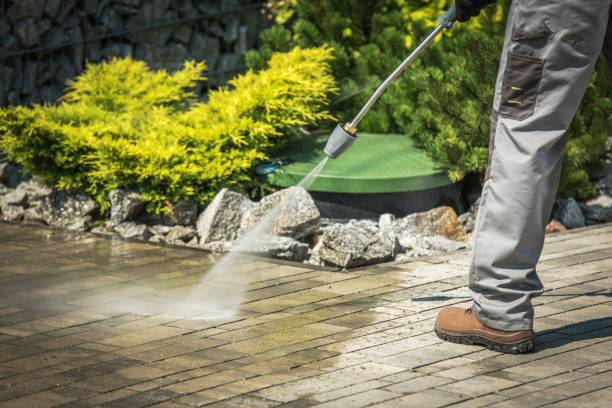 Best Driveway Pressure Washing  in Upland, CA